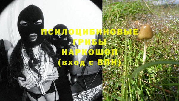 mix Аркадак