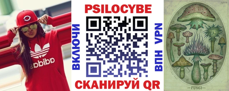 закладки  Чапаевск  Псилоцибиновые грибы прущие грибы 